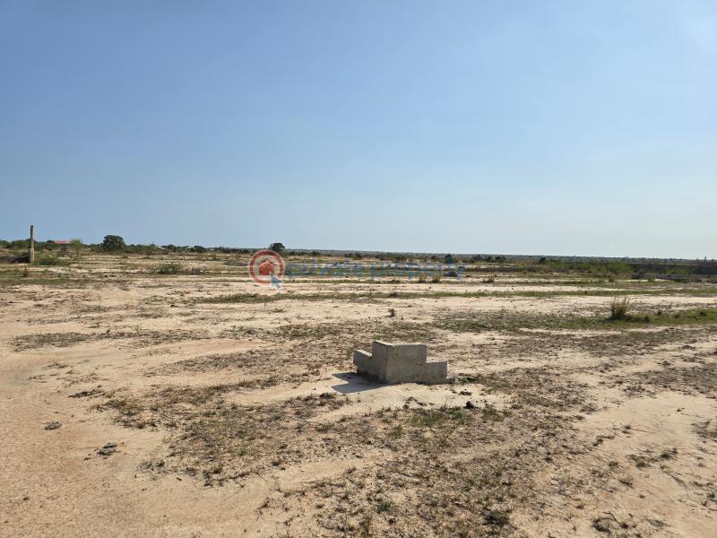 Land For Sale Dawhenya Near Devtraco Wood Land Dawhenya Ningo Prampram District Accra - 0