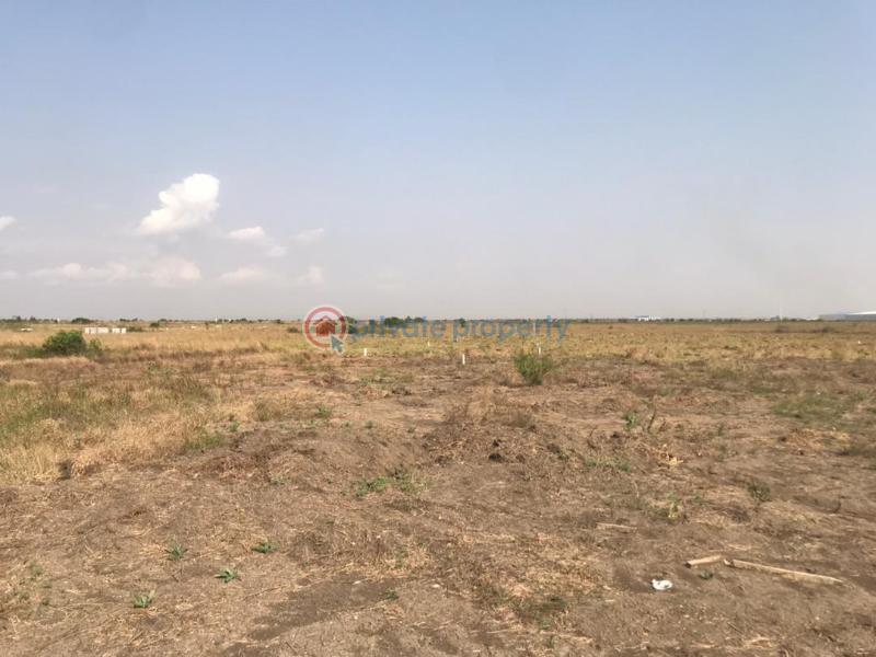 Land For Sale Dawhenya Ningo Prampram District Accra - 1