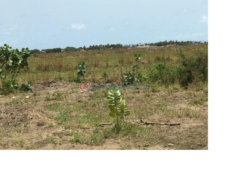 Land For Sale Central University After New Airport City Ningo Prampram District Accra - 3