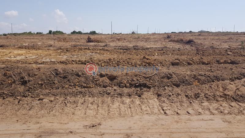 Land For Sale Alpha Estate Prampram Ningo Prampram District Accra - 2