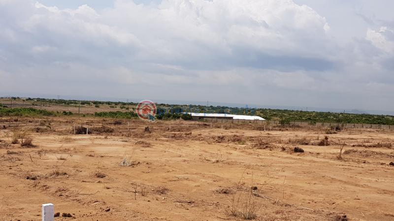 Land For Sale Alpha Estate Prampram Ningo Prampram District Accra - 0