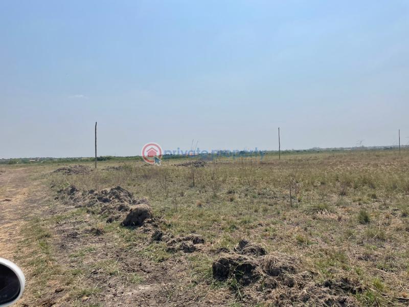 Land For Sale Ningo Police Station Solomon Court Ningo Prampram District Accra - 4