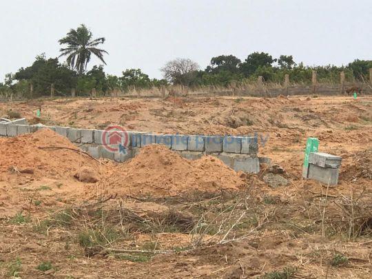 Land For Sale Central University Tsopoli Ningo Prampram District Accra - 3