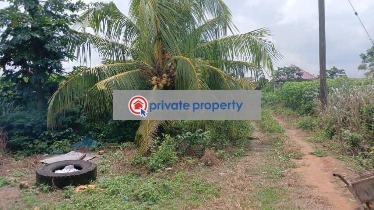 Mixed use Land For Sale &nbsp;ojobi Gomoa Akoti Agona East Central Region - 3
