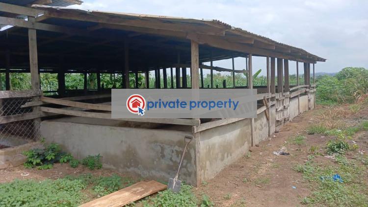 Mixed use Land For Sale &nbsp;ojobi Gomoa Akoti Agona East Central Region - 2