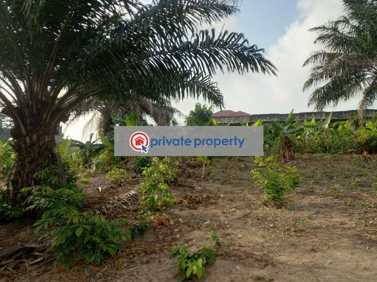 Land For Sale &nbsp;kenyasi, Near Buokrom Near Kumasi Airport. Kumasi Metropolitan Ashanti - 1