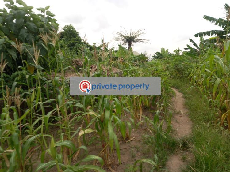 Residential Land For Sale &nbsp;fumesua On Tech Ejisu Road. Ejisu-Juaben Municipal Ashanti - 4