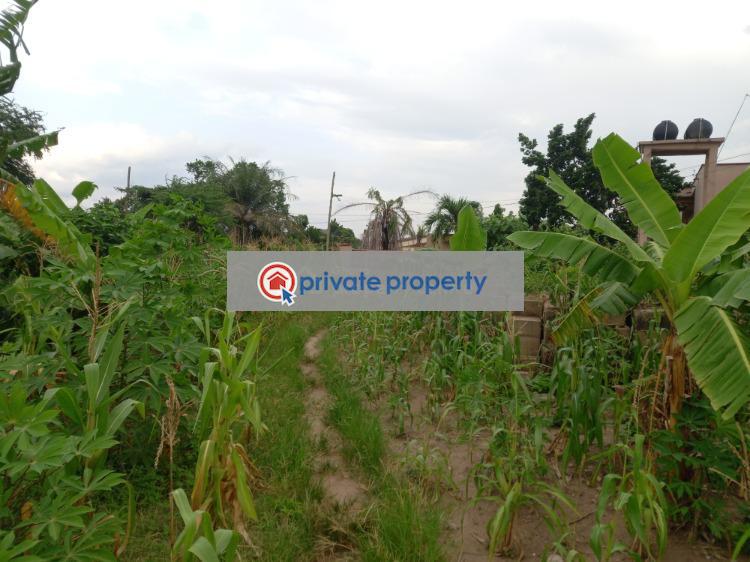 Residential Land For Sale &nbsp;fumesua On Tech Ejisu Road. Ejisu-Juaben Municipal Ashanti - 5