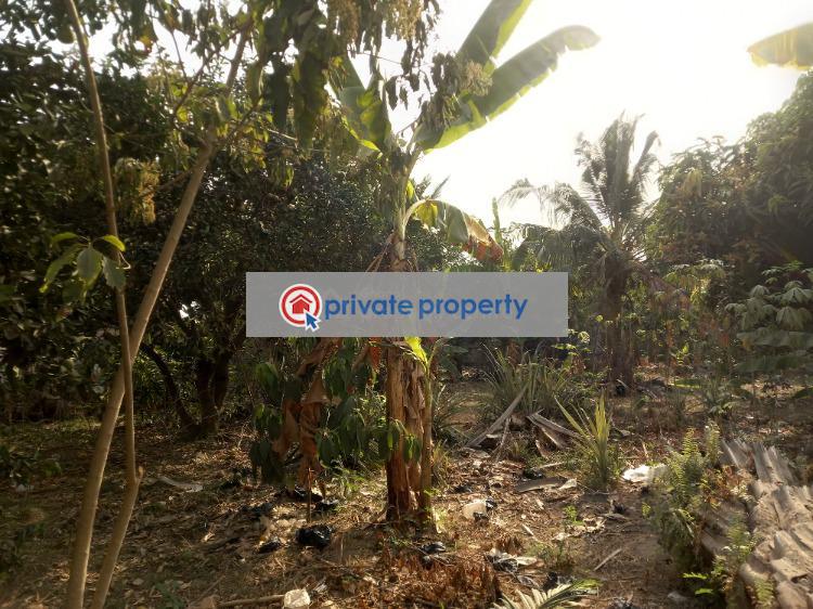 Land For Sale &nbsp;boadi New Site Near Knust. Kumasi Metropolitan Ashanti - 5