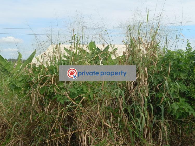 Residential Land For Sale &nbsp;oduom On Tech Ejisu Road. Kumasi Metropolitan Ashanti - 4