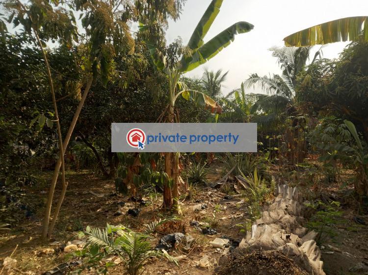 Land For Sale &nbsp;boadi New Site Near Knust. Kumasi Metropolitan Ashanti - 2