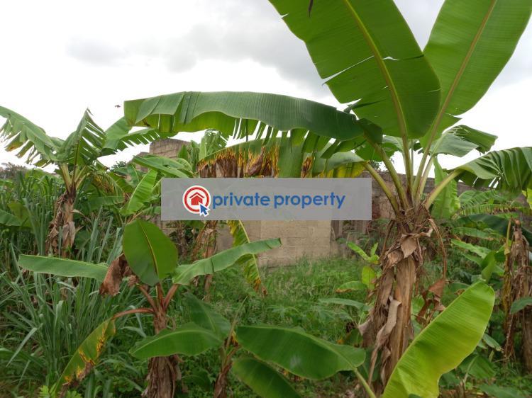 Residential Land For Sale &nbsp;fumesua Okyerekrom. Ejisu-Juaben Municipal Ashanti - 7