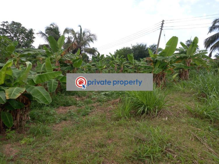 Residential Land For Sale &nbsp;fumesua Okyerekrom. Ejisu-Juaben Municipal Ashanti - 8