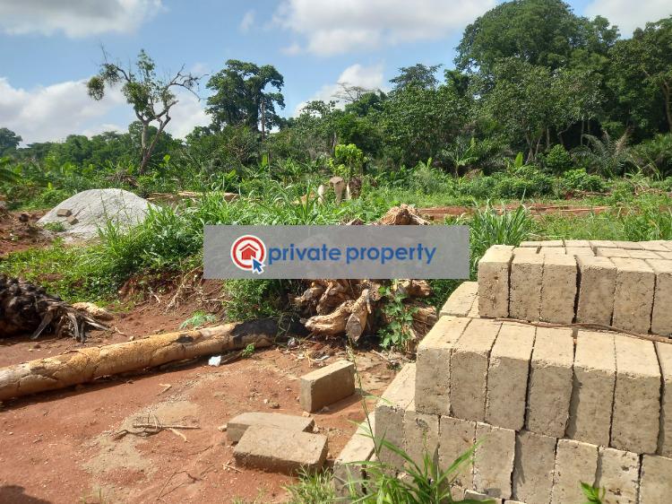 Residential Land For Sale &nbsp;owhim Amanfrom. Kumasi Metropolitan Ashanti - 4