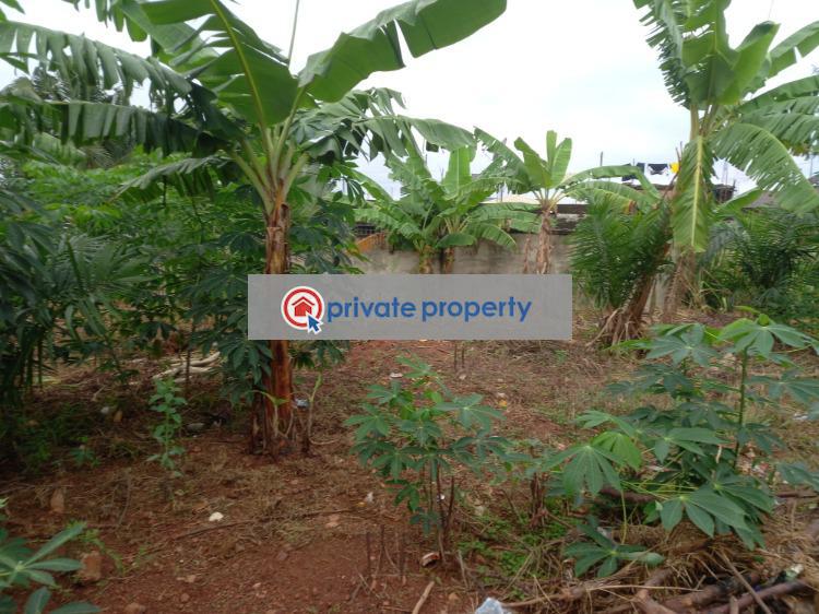 Residential Land For Sale &nbsp;kotei New Site Near Knust. Kumasi Metropolitan Ashanti - 3