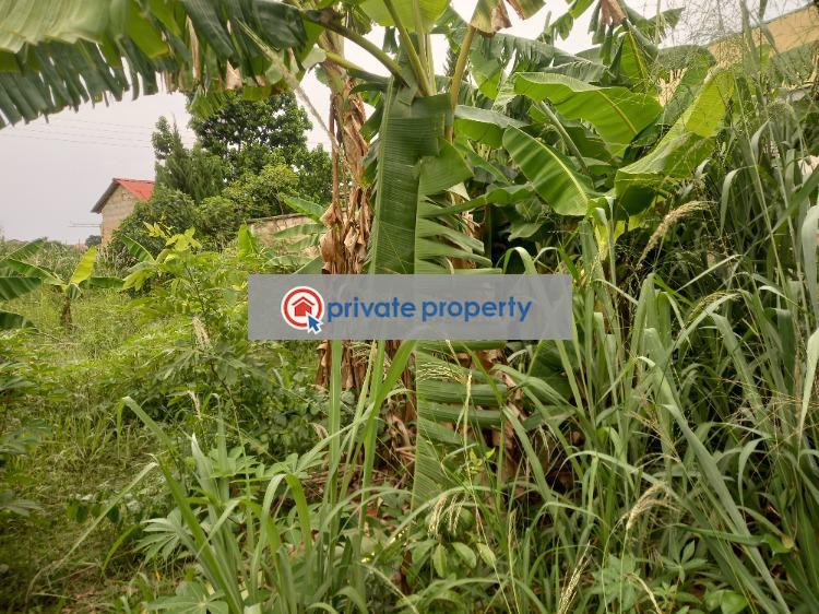 Land For Sale &nbsp;sokoban Odaso. Atwima Kwanwoma Ashanti - 3
