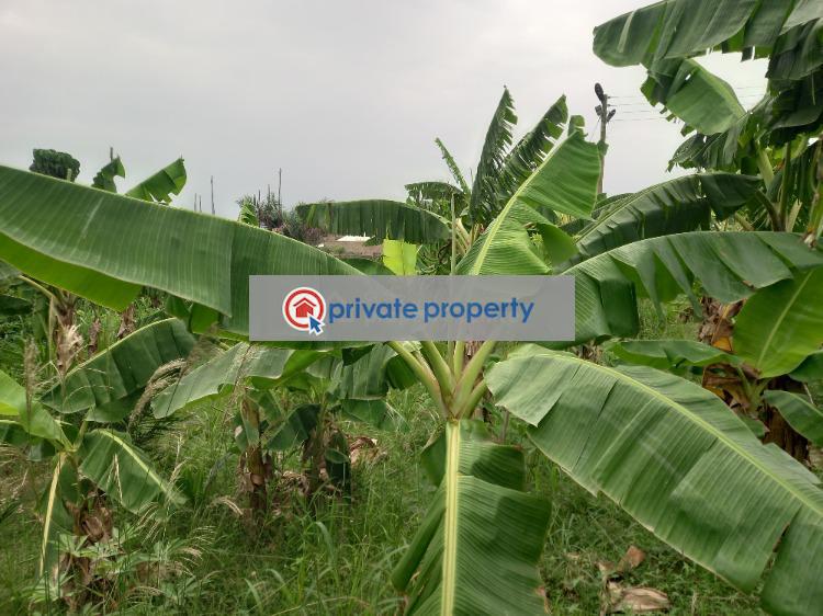 Land For Sale &nbsp;sokoban Odaso. Atwima Kwanwoma Ashanti - 4