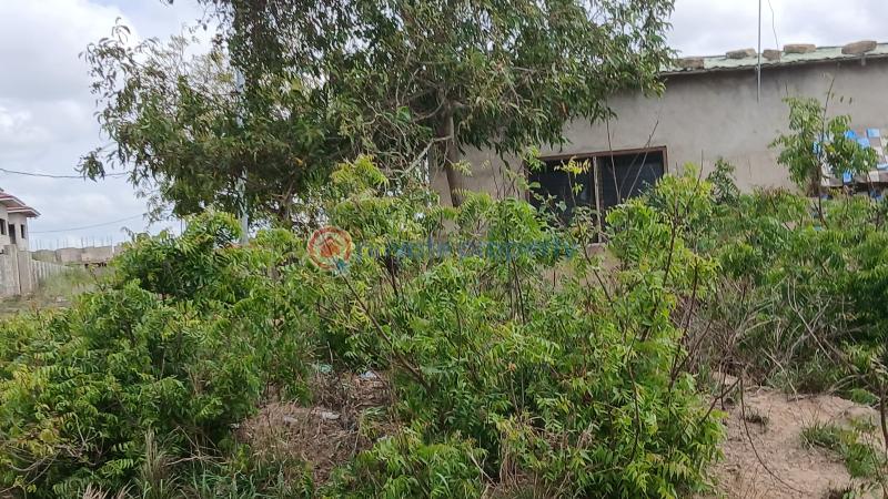 Land For Sale Mini 2 African Ancestral Wall Prampram Ningo Prampram District Accra - 1