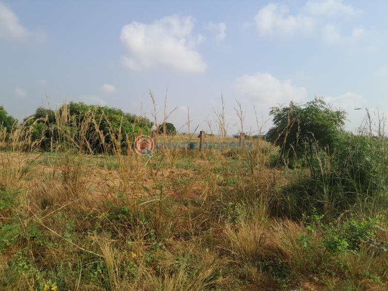 Land For Sale Ningo Police Station Solomon's Court Prampram Ningo Prampram District Accra - 2