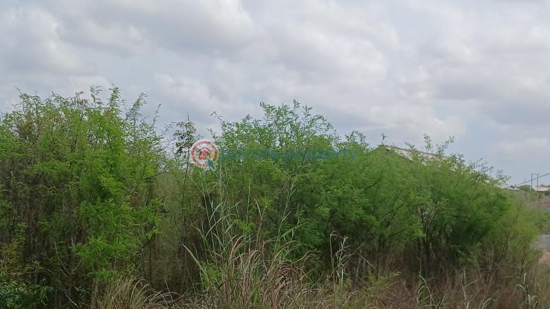 Land For Sale Mini2 African Ancestral Wall Prampram Ningo Prampram District Accra - 3