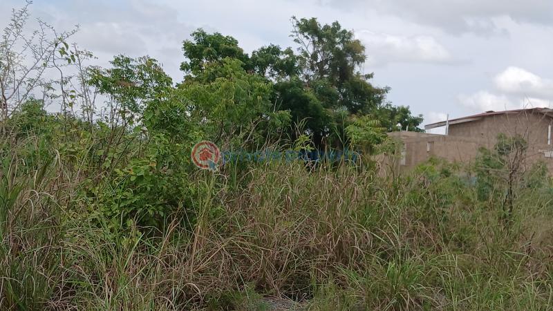 Land For Sale African Ancestral Wall Mini 2 Prampram Ningo Prampram District Accra - 2