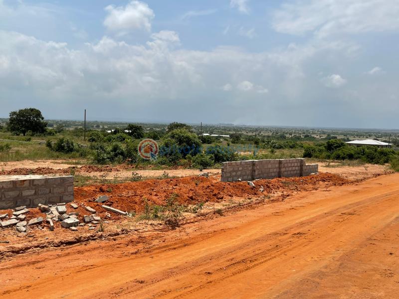 Land For Sale New Ningo Police Station Prampram Ningo Prampram District Accra - 3