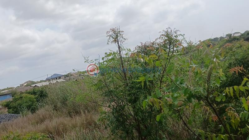 Land For Sale Ningo Prampram District Accra - 1