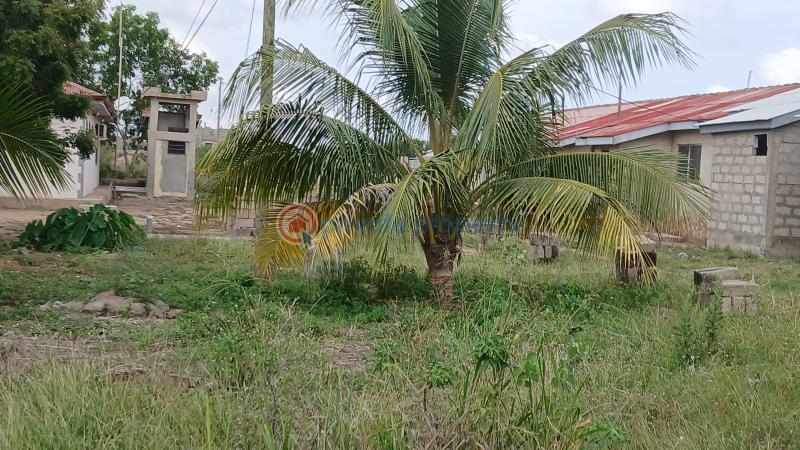 Land For Sale New Ningo Police Sation Prampram Ningo Prampram District Accra - 3