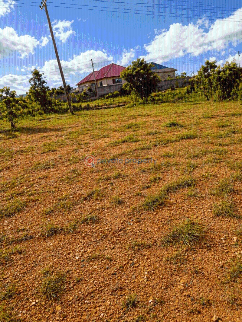 Land For Sale Afienya Tema Accra - 0