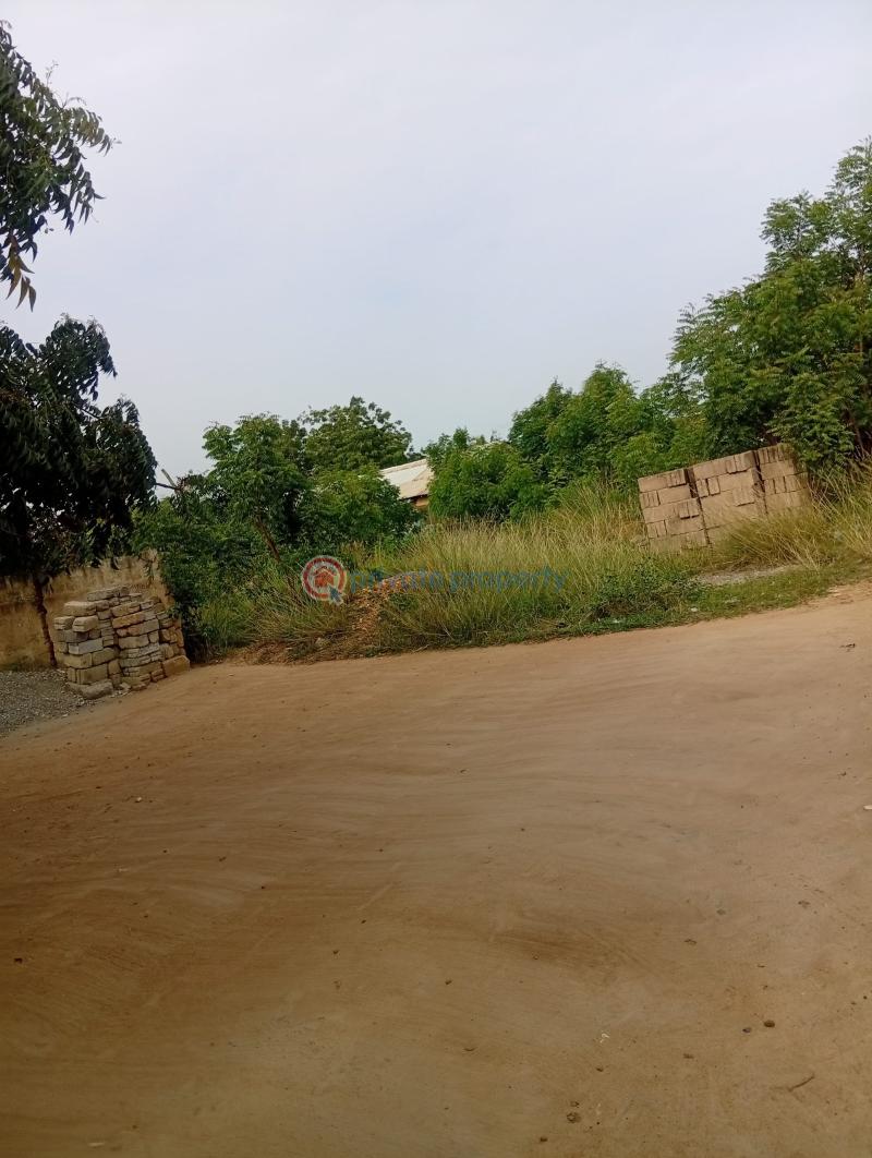 Land For Sale Mobole Afienya Tema Accra - 1