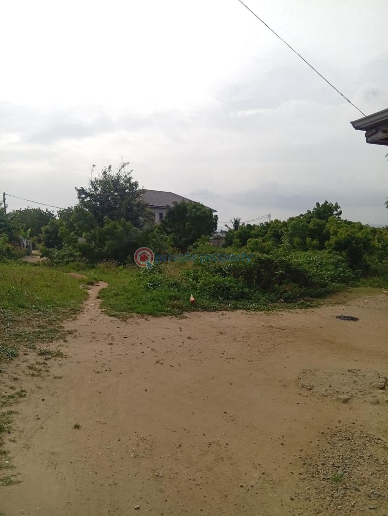 Land For Sale Mobole Afienya Tema Accra - 3