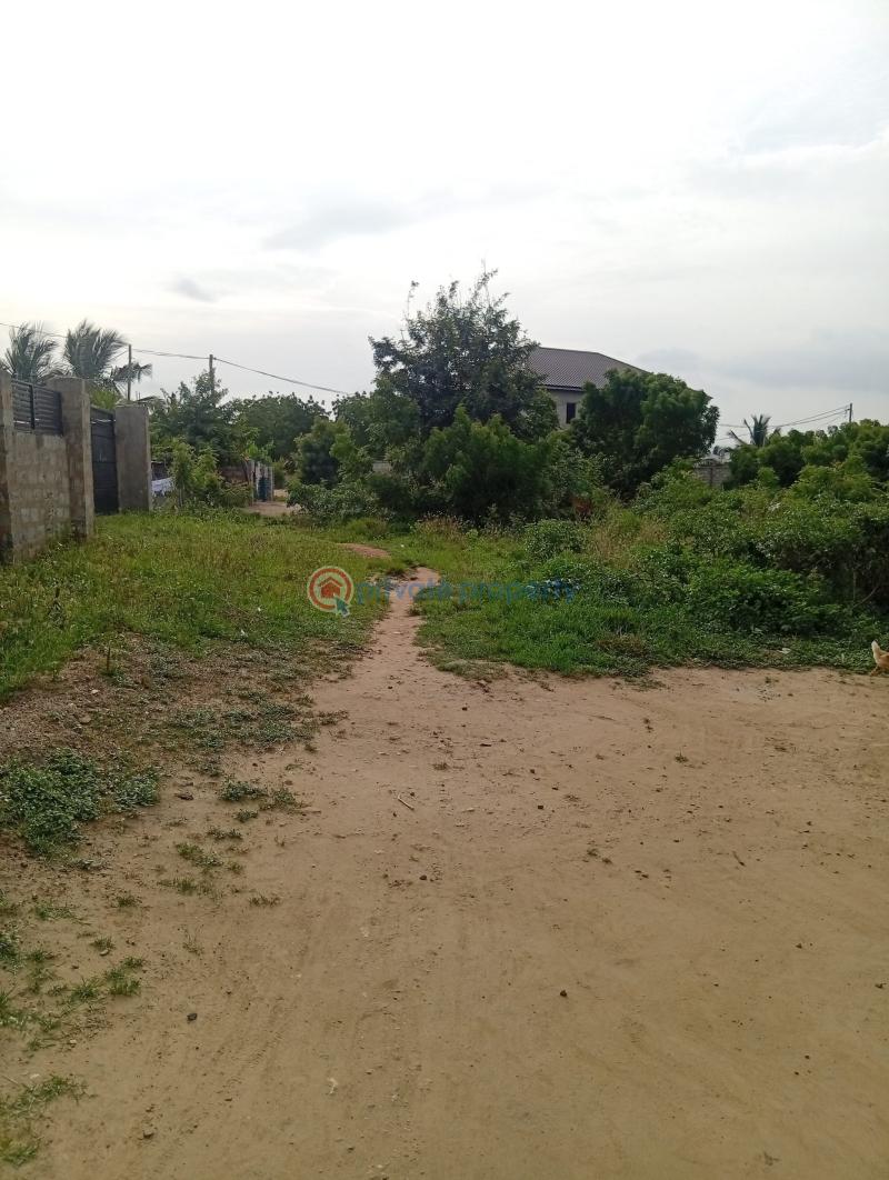 Land For Sale Mobole Afienya Tema Accra - 0