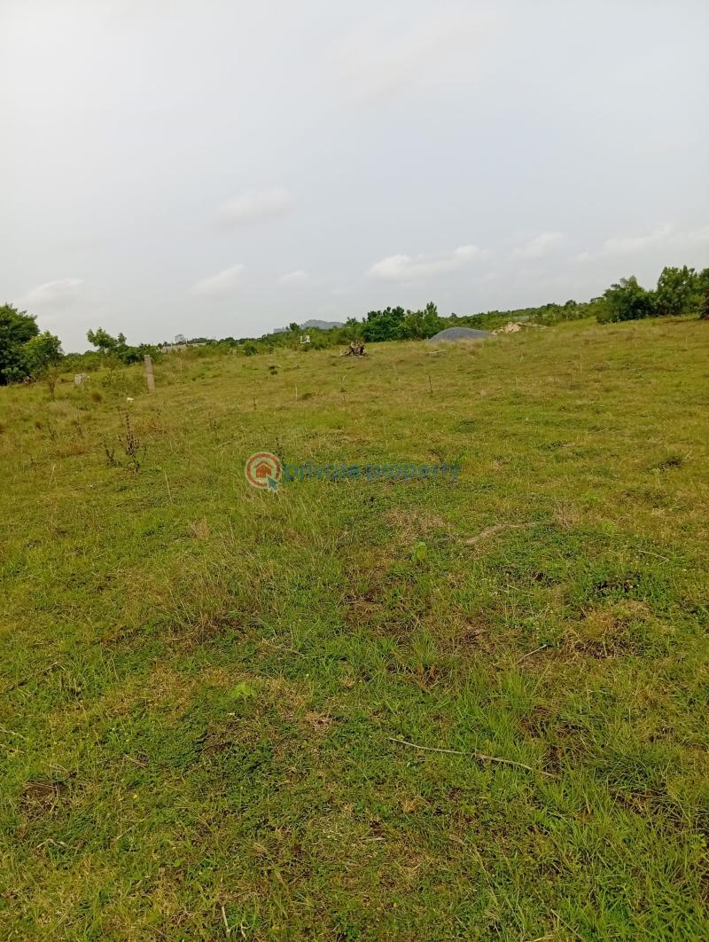 Land For Sale Dedenya Shai Hills Shai Osudoku Accra - 4