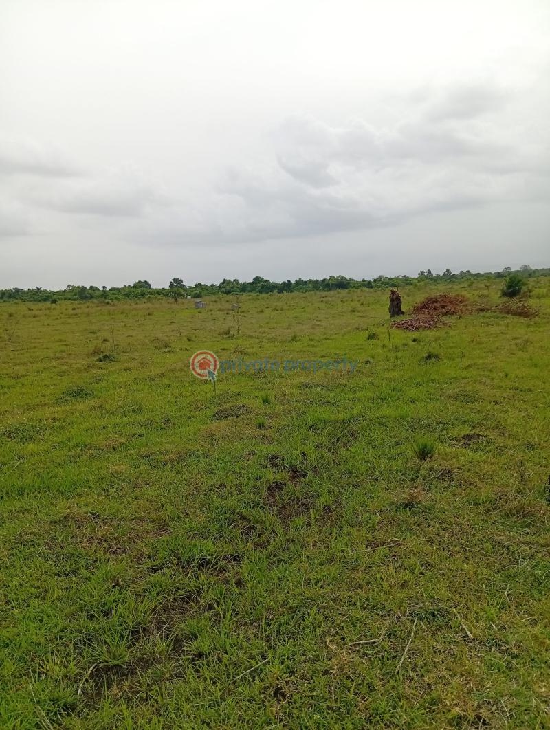 Land For Sale Dedenya Shai Hills Shai Osudoku Accra - 1