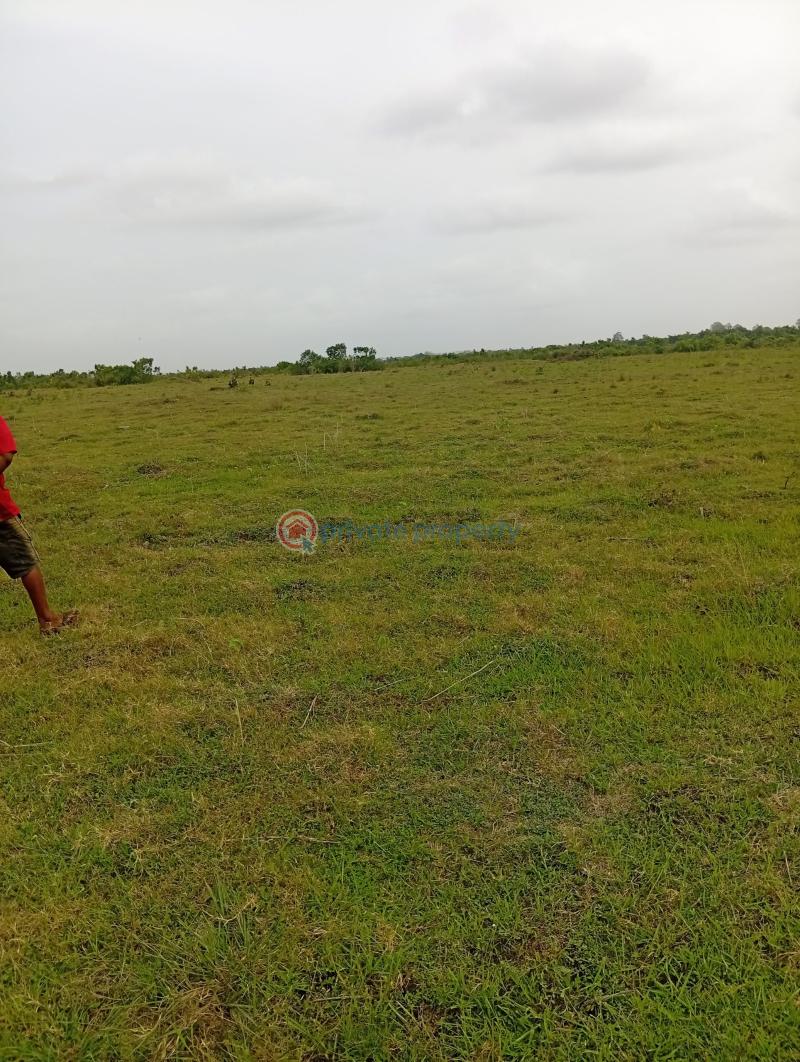 Land For Sale Dedenya Shai Hills Shai Osudoku Accra - 3