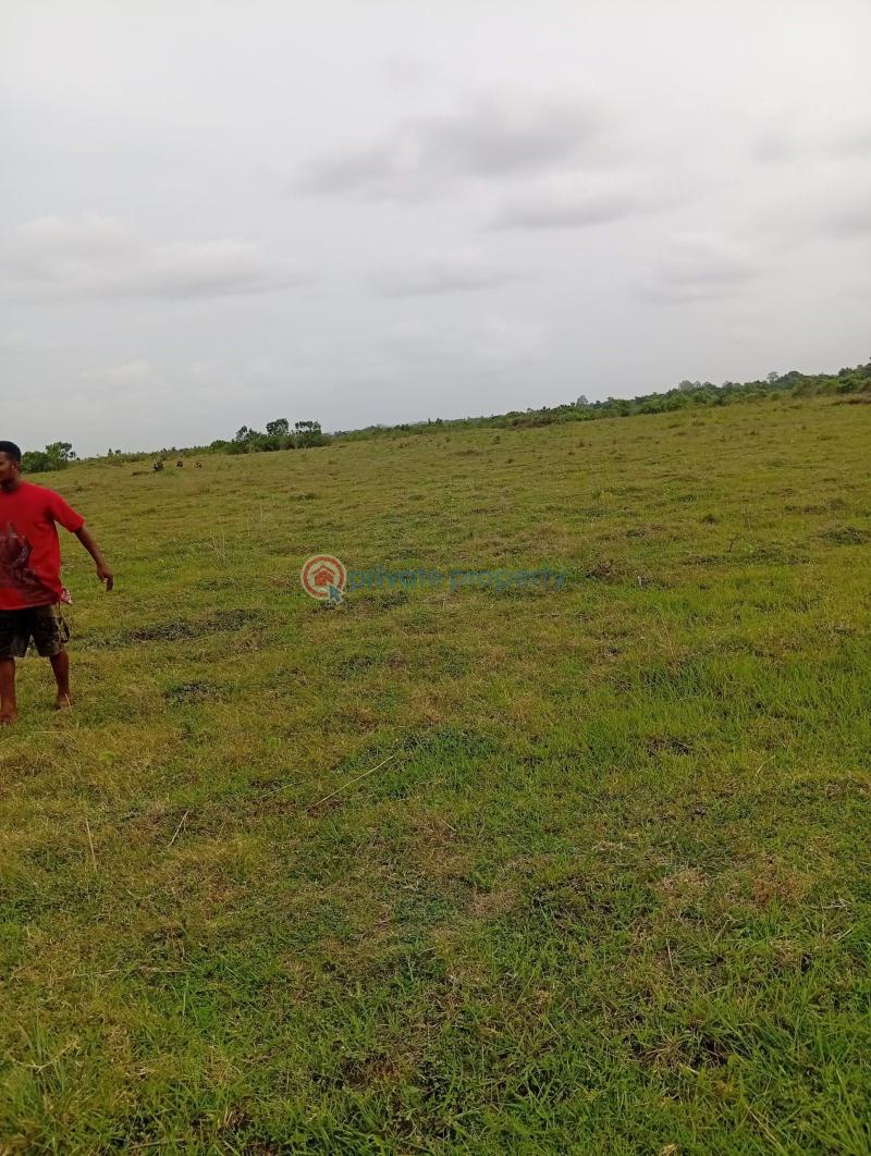 Land For Sale Dedenya Shai Hills Shai Osudoku Accra - 0