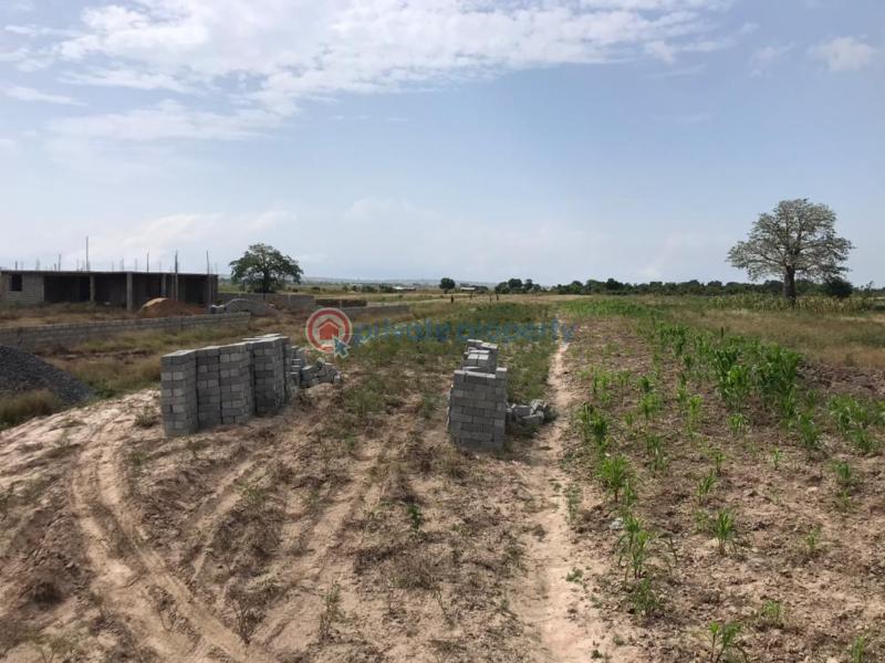 Land For Sale Central University Tsopoli Ningo Prampram District Accra - 3