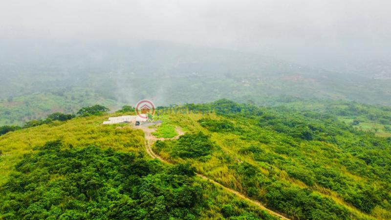 Residential Land For Sale Springfield Community Annex Aburi Akuapim South Municipal Eastern Region - 4