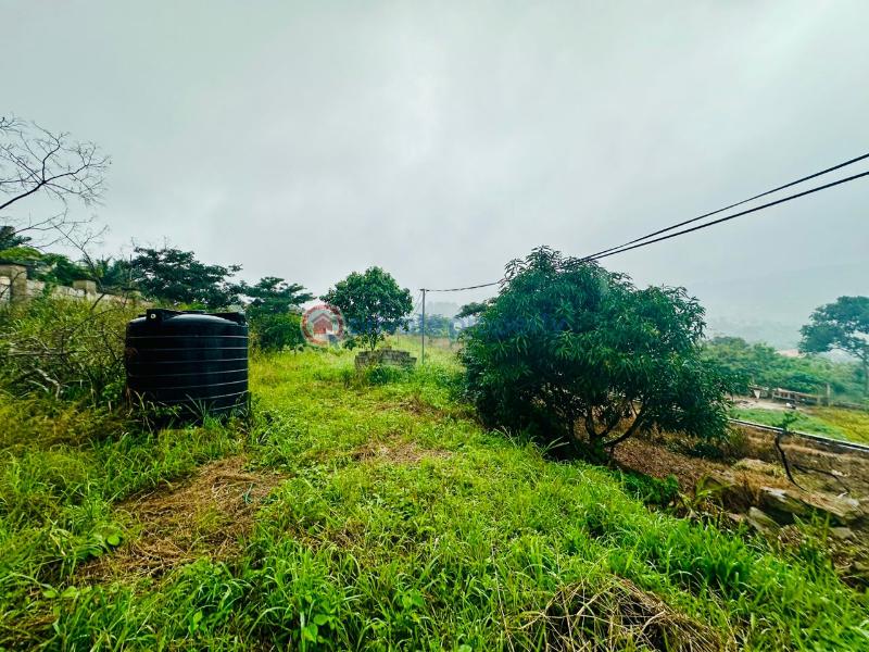 Residential Land For Sale Aburi Akuapim South Municipal Eastern Region - 3