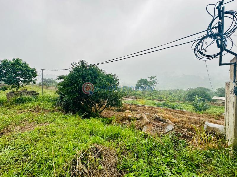 Residential Land For Sale Aburi Akuapim South Municipal Eastern Region - 4