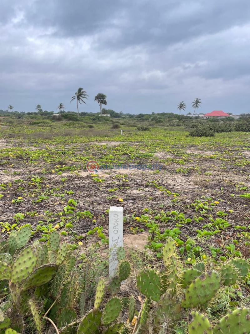 Land For Sale Wokumagbe Prampram Ningo Prampram District Accra - 1