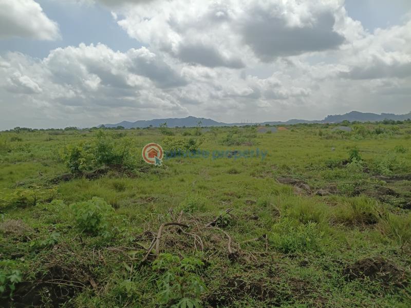 Land For Sale School Junction Shai Osudoku Accra - 1