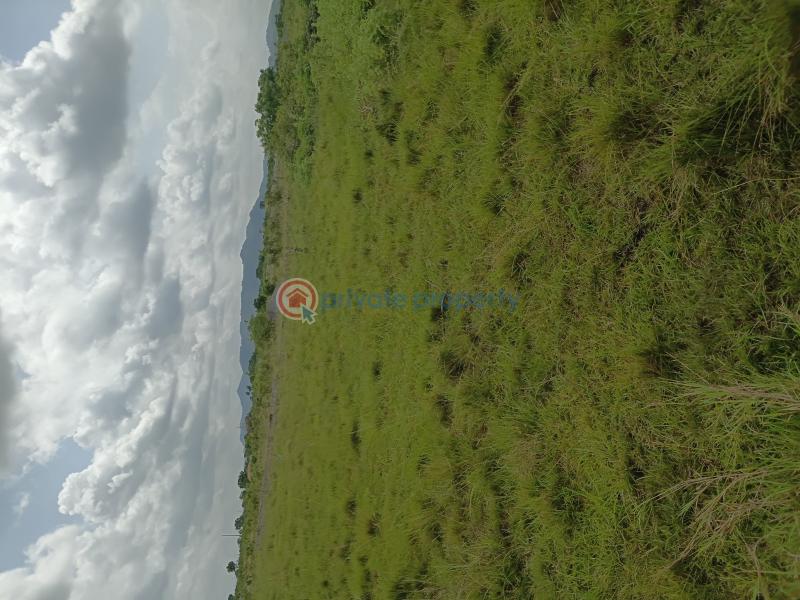 Land For Sale School Junction Shai Osudoku Accra - 0