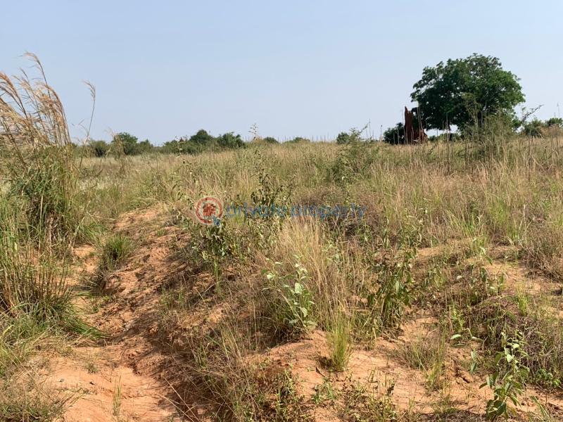 Mixed use Land For Sale Pram City Tsopoli Ningo Prampram District Accra - 3
