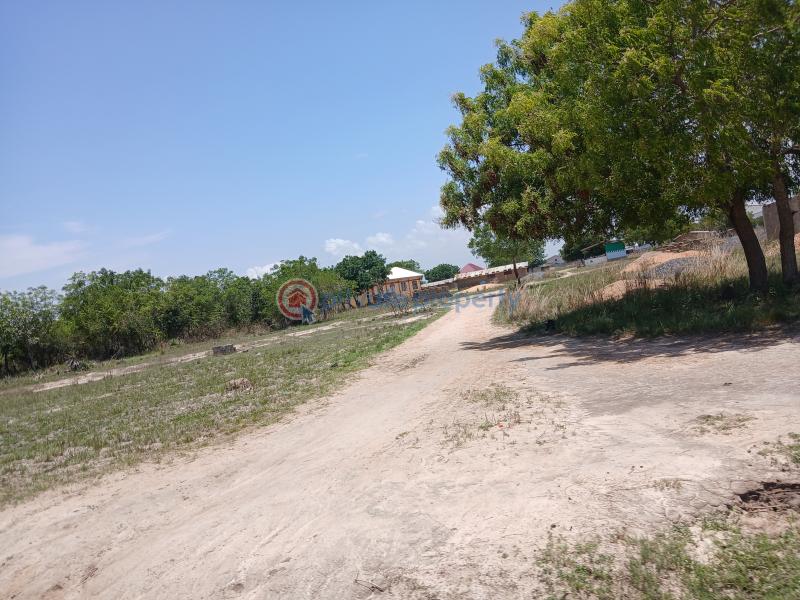 Land For Sale Zion City Tsopoli Ningo Prampram District Accra - 1