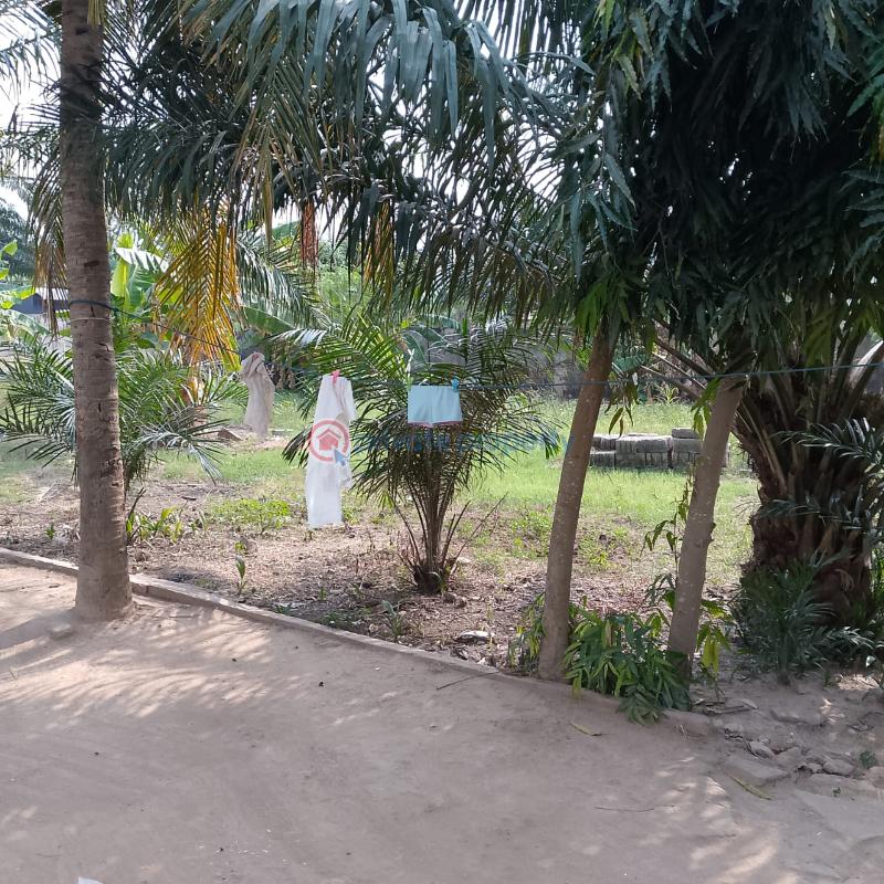 Land For Sale Westland Ga East Municipal Accra - 1