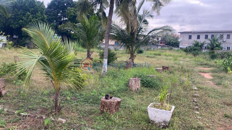 Commercial Land For Sale Tesano Accra - 3