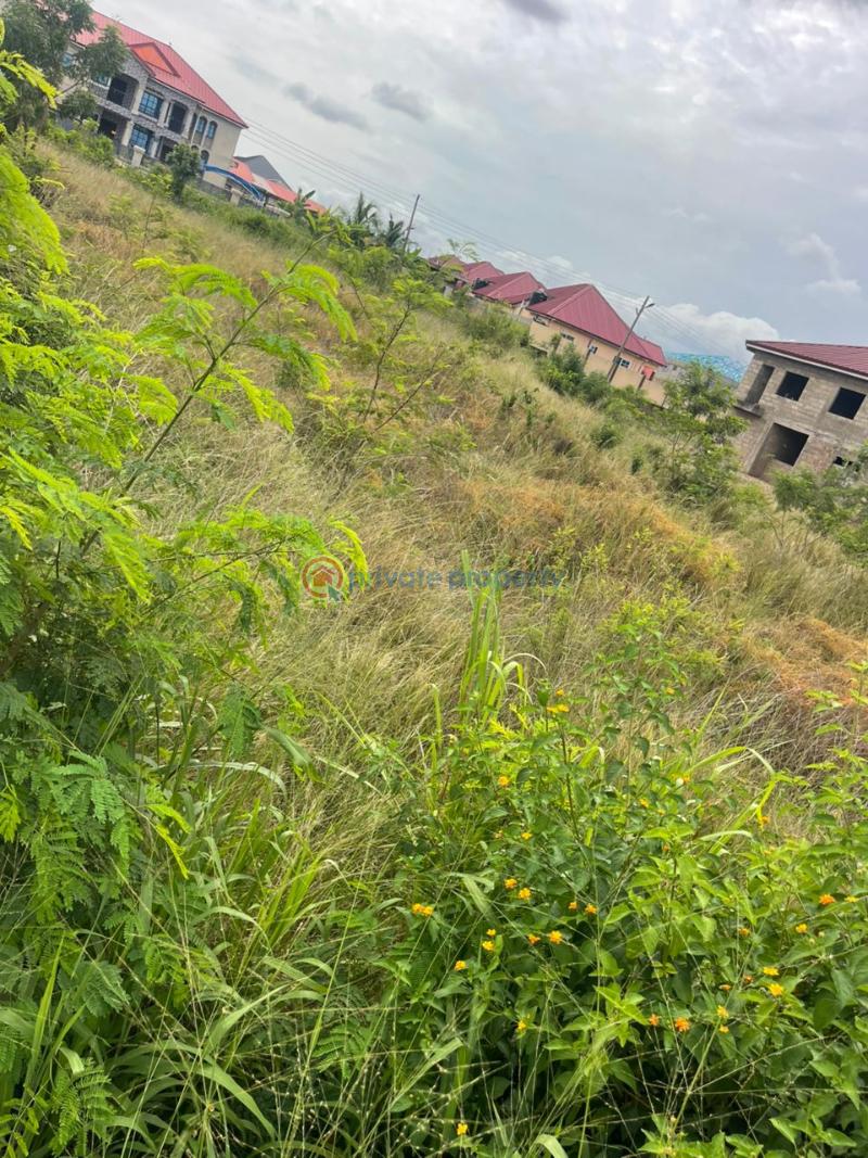 Land For Sale Odumase Pokuase (Pokoasi) Ga West Municipal Accra - 3