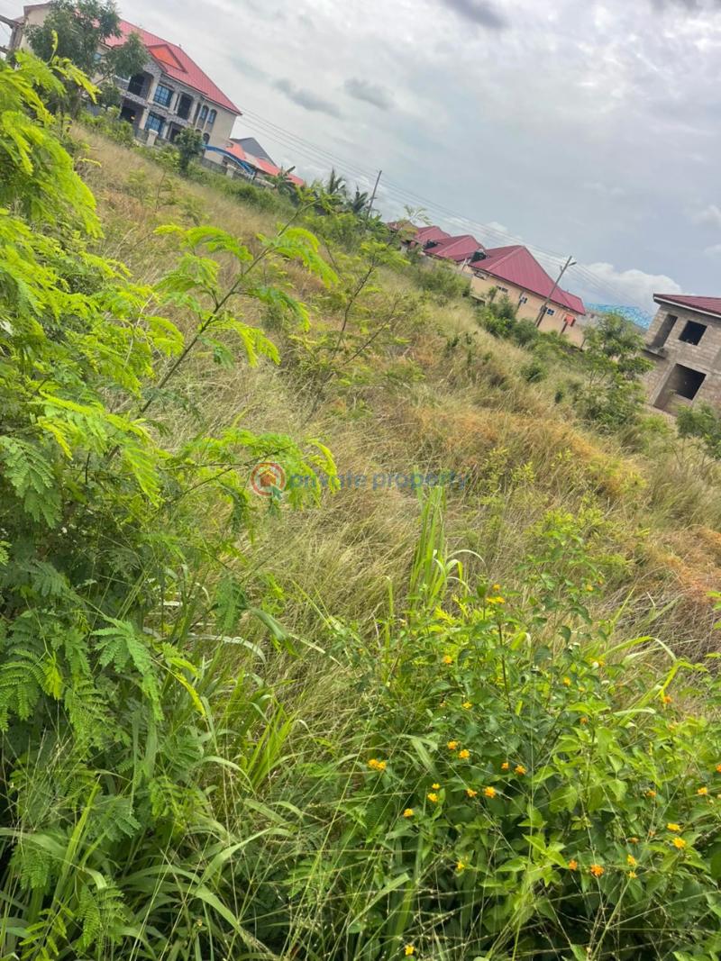 Land For Sale Odumase Pokuase (Pokoasi) Ga West Municipal Accra - 0