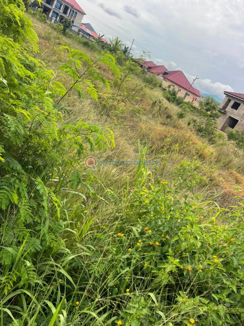 Land For Sale Odumase Pokuase (Pokoasi) Ga West Municipal Accra - 4